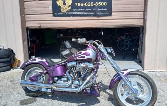 Bike-2-1999-Harley-Soft-Tail 1999 Custom Built Harley